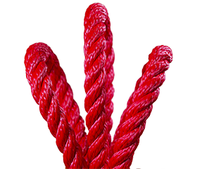Husky 3-Strand